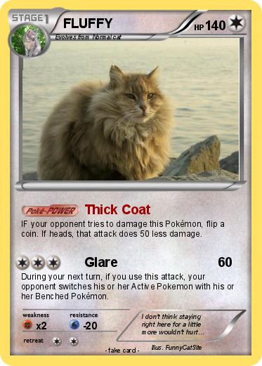 Pokemon FLUFFY