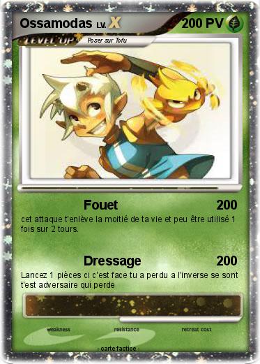 Pokemon Ossamodas