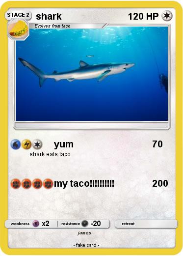 Pokemon shark