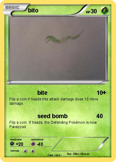 Pokemon bito