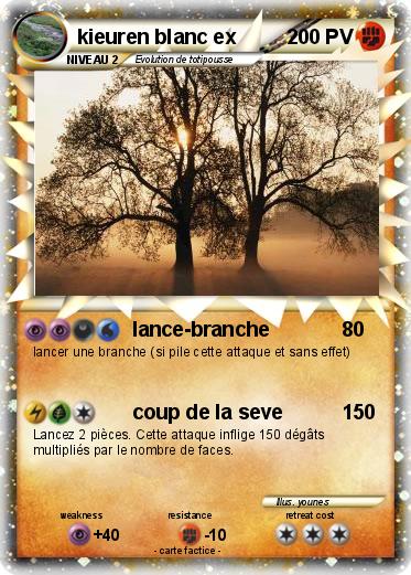 Pokemon kieuren blanc ex