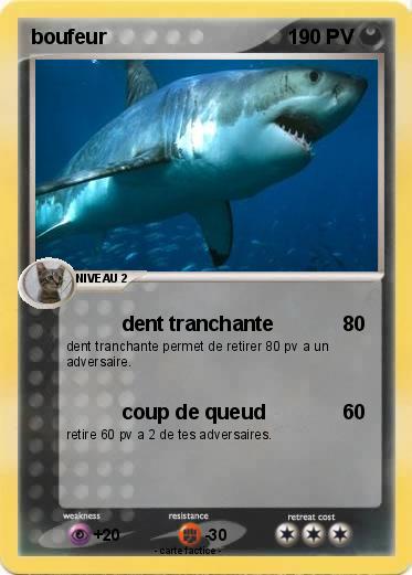 Pokemon boufeur