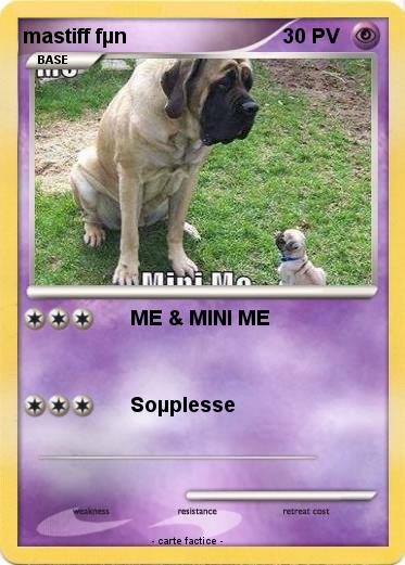 Pokemon mastiff fµn