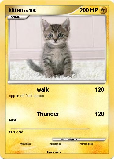 Pokemon kitten