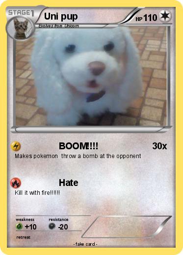 Pokemon Uni pup