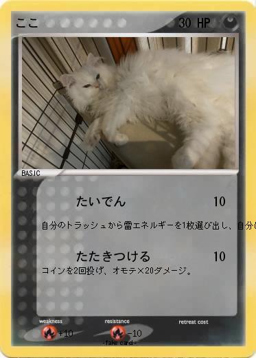 Pokemon ここ