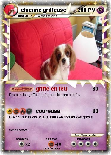 Pokemon chienne griffeuse
