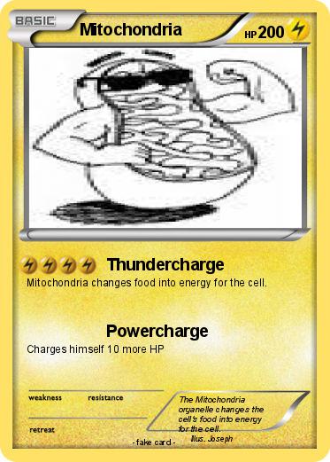 Pokemon Mitochondria