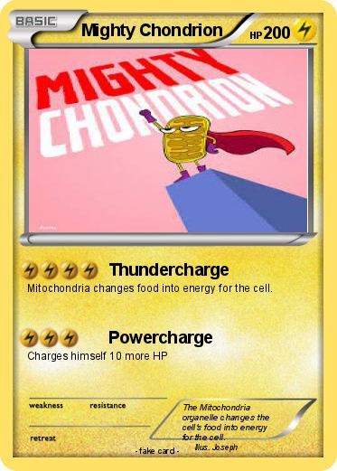 Pokemon Mighty Chondrion