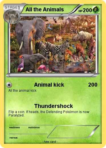 Pokemon All the Animals