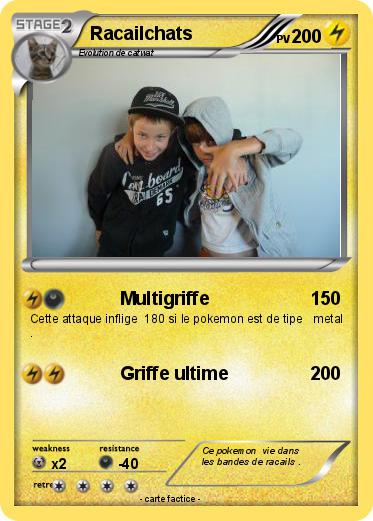 Pokemon Racailchats