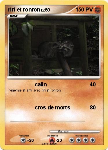 Pokemon riri et ronron