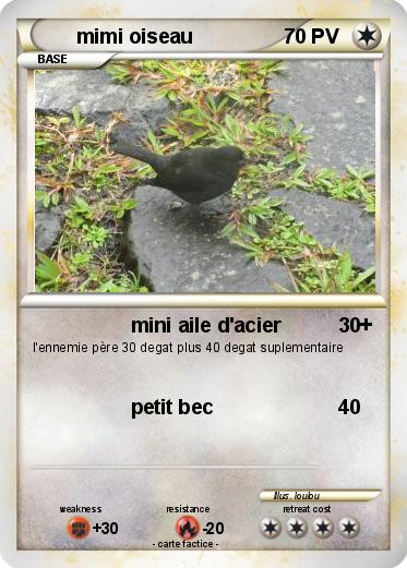 Pokemon mimi oiseau