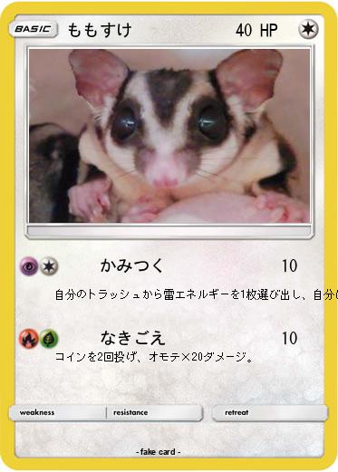 Pokemon ももすけ