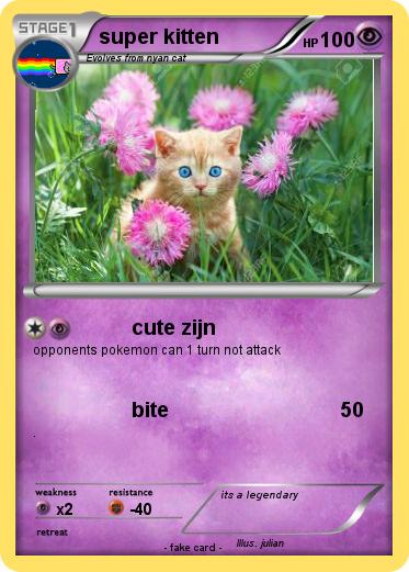 Pokemon super kitten
