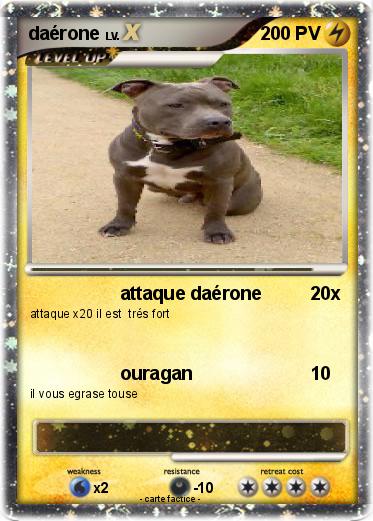 Pokemon daérone