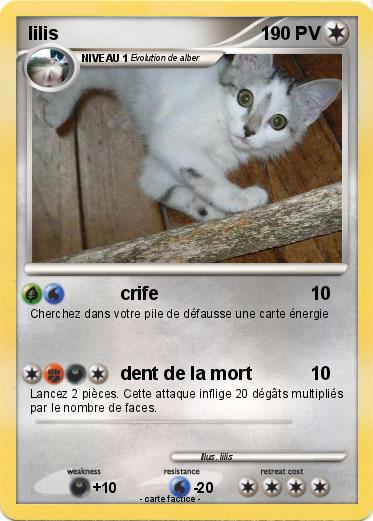 Pokemon lilis