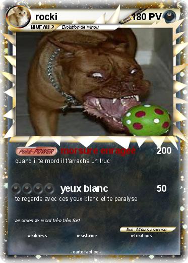 Pokemon rocki
