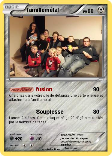 Pokemon famillemétal