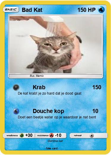 Pokemon Bad Kat