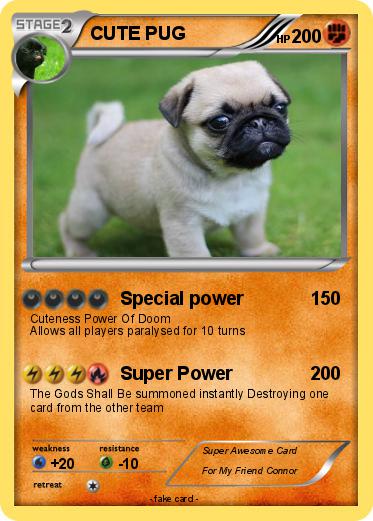 Pokemon CUTE PUG