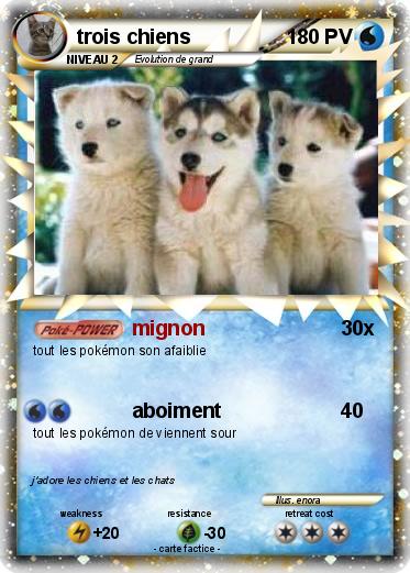 Pokemon trois chiens