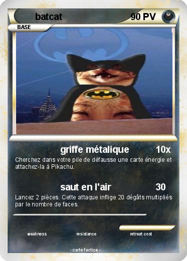 Pokemon batcat
