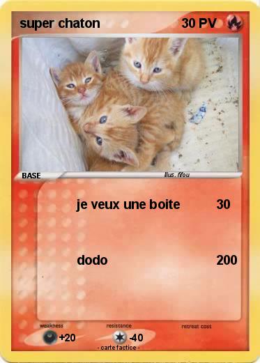 Pokemon super chaton