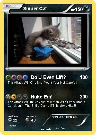 Pokemon Sniper Cat