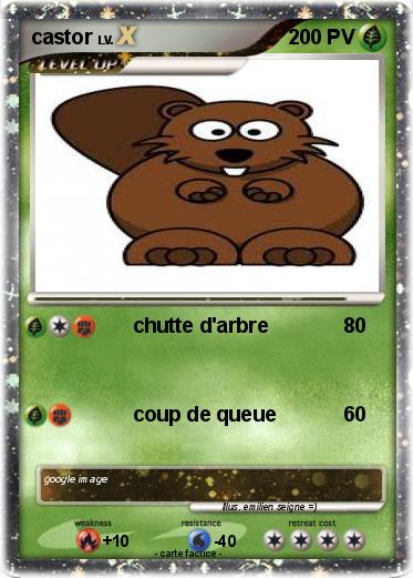 Pokemon castor