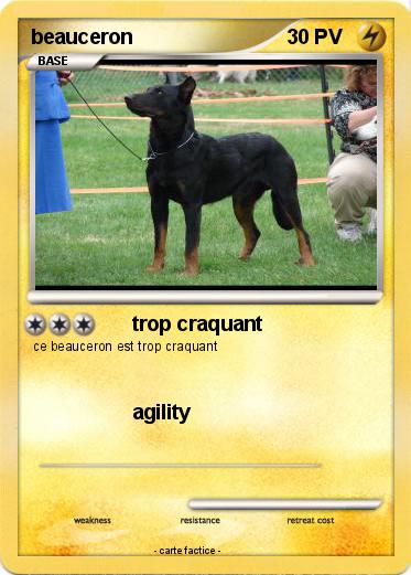 Pokemon beauceron