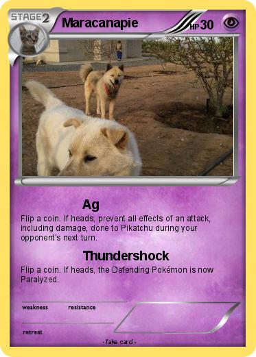 Pokemon Maracanapie