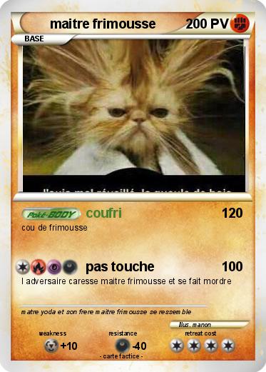 Pokemon maitre frimousse