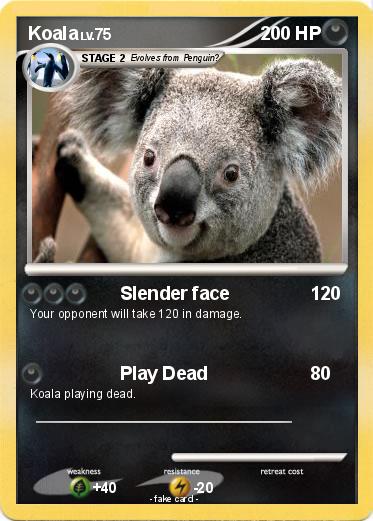 Pokemon Koala