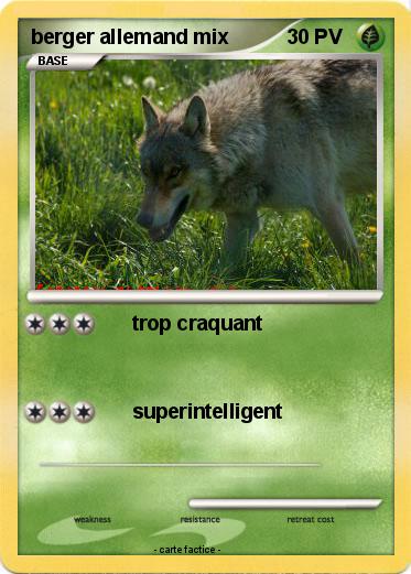 Pokemon berger allemand mix