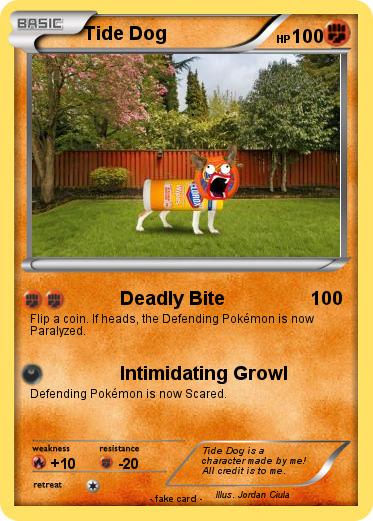 Pokemon Tide Dog