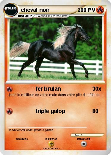 Pokemon cheval noir