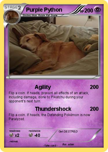 Pokemon Purple Python
