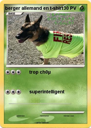 Pokemon berger allemand en t-shirt