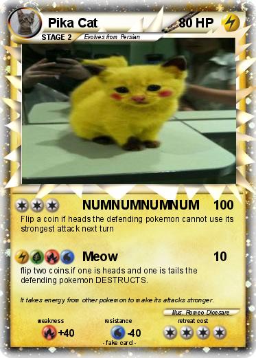 Pokemon Pika Cat
