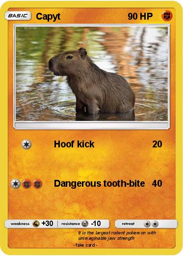 Pokemon Capyt