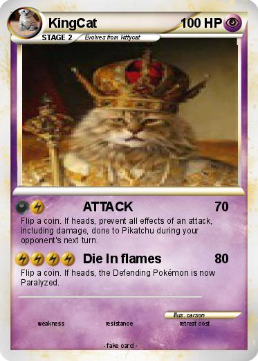 Pokemon KingCat
