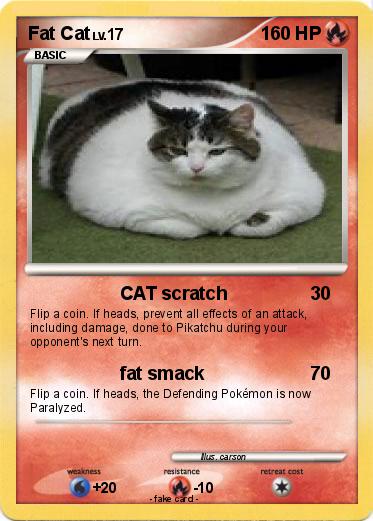 Pokemon Fat Cat