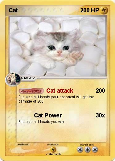 Pokemon Cat