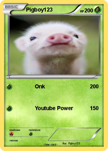 Pokemon Pigboy123