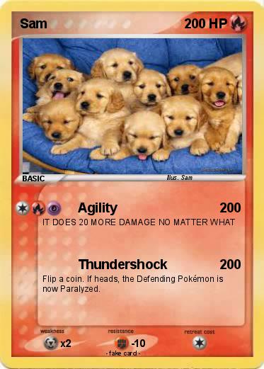 Pokemon Sam