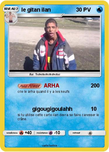 Pokemon le gitan ilan