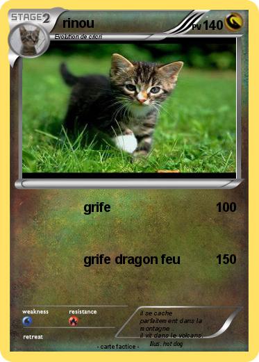 Pokemon rinou