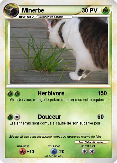 Pokemon Minerbe