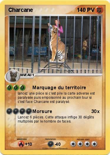 Pokemon Charcane